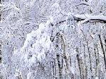 З 24 січня в Україні похолодає