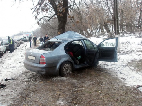 На Донеччині водій врізався в дерево – двоє загиблих - фото