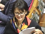 Після обстрілу сніжками, депутат Горіна звернулася до міліції