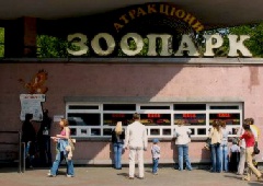 У Київському зоопарку вовчиця покусала робітницю - фото