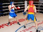 В Моршині пройшов боксерський турнір «Кубок Карпат»