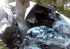 На Львівщині машина зіткнулася з деревом – двоє загиблих - фото