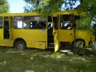 На Черкащині автобус з пасажирами врізався в дерево