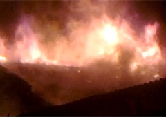 В Голосіївському районі сталася масштабна пожежа - фото