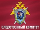 За фактом авіакатастрофи в Казані порушено кримінальну справу