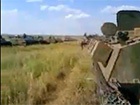 Відео, як кадирівці в складі броньованої колони російських військ готуються до вторгнення в Україну