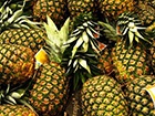 В Іспанії всередині ананасів знайшли 200 кг кокаїну