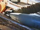Як українці нищать ворогів – відео з кабіни САУ