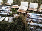 На Дніпропетровщині виявлено велику схованку зброї