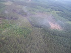 Під Чорнобилем ще гасять торф на площі 5,2 га