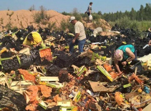 В Росії вже знищили 750 тонн санкційних харчів - фото