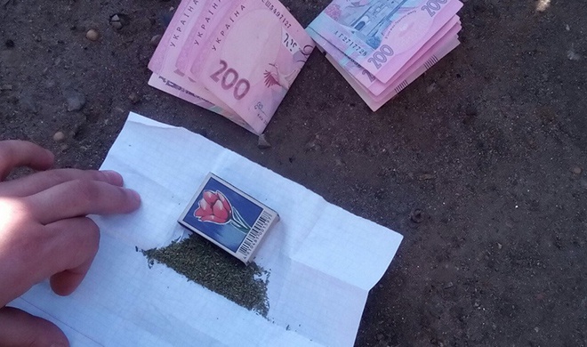 У Слов’янську дільничний поліцейський вирощував коноплю на продаж - фото