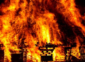 В Шабо в пожежі загинуло 6 дітей - фото
