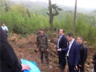 За масову вирубку лісів доручено звільнити начальника Держекоінспекції Івано-Франківщини