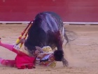 В Іспанії на корриді бик вбив тореодора, вперше за 24 роки