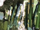 У Києві правоохоронці виявили схованку з протитанковими гранатометами