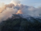 Площу пожежі у Зоні відчуження зменшено вдвічі