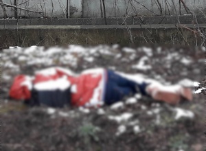 12-річну дівчинку у Кропивницькому вбила матір, заявив Аброськін - фото