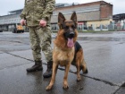 Через беззаконня і корупцію "поліцейський ДНР" намагався виїхати у Німеччину