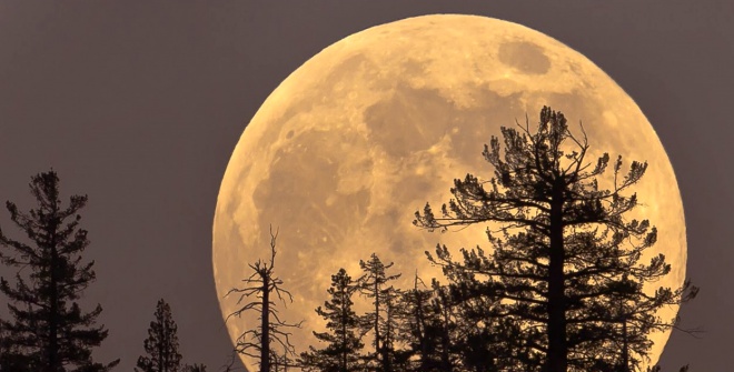 Цієї ночі Місяць буде найбільшим у році - фото