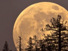 Цієї ночі Місяць буде найбільшим у році