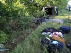 На Миколаївщині автівка врізалася в дерево: 5 загиблих