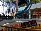 Націоналісти зсередини пікетують ТРЦ Ocean Plaza