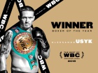 WBC визнала Усика боксером року