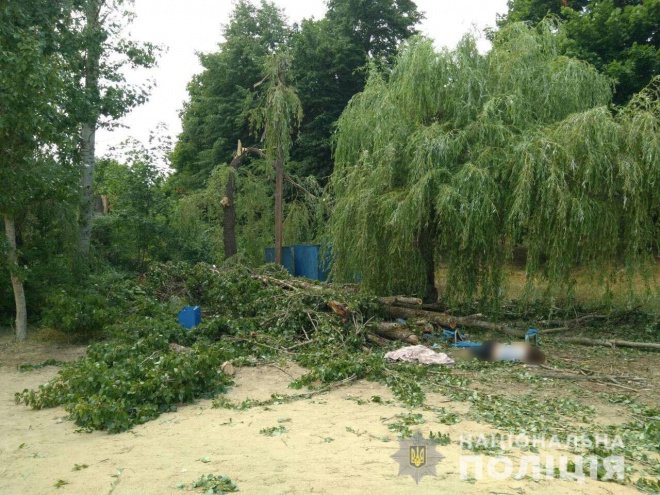 Дерево придавило людей в санаторії на Харківщині, загинула жінка - фото