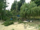 Дерево придавило людей в санаторії на Харківщині, загинула жінка