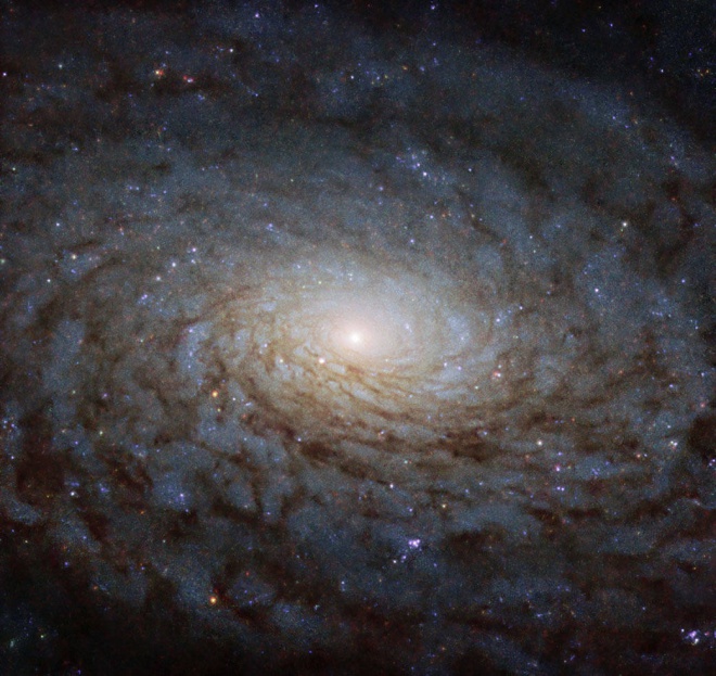 Хаббл показав галактику, схожу на «портал в інший вимір» - фото