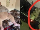 В Іраку схопили одного з лідерів «ІДІЛ», але змогли вивезти лише на вантажній автівці