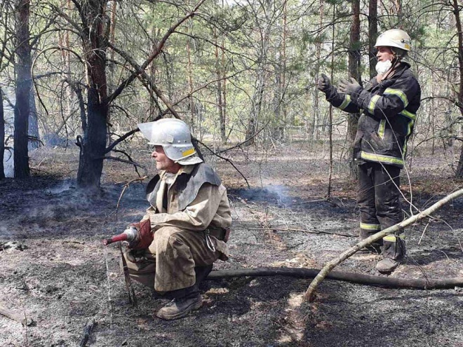 Ситуація з пожежами на Житомирщині та Київщині на ранок 26 квітня - фото