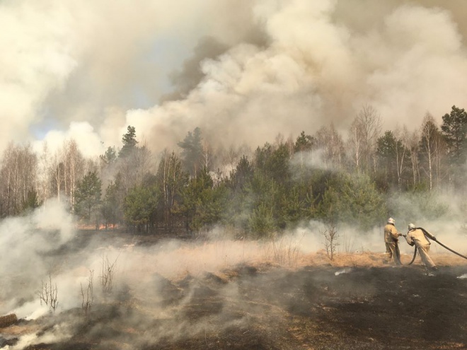 Затримано двох паліїв, які спричинили наймасштабнішу пожежу на Житомирщині - фото