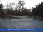 Поліція стріляла в собаку в Одесі на очах багатьох людей