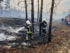 Пожежі біля лінії розмежування на Луганщині продовжують гасити