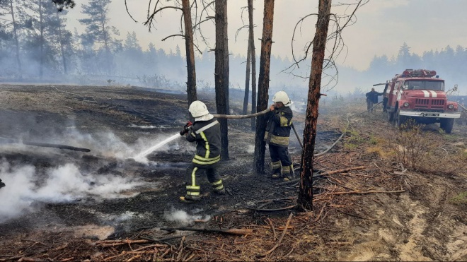 Пожежі біля лінії розмежування на Луганщині продовжують гасити - фото