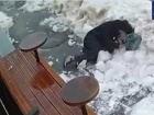 Снігова брила впала на жінку, яка вирішила скоротити шлях