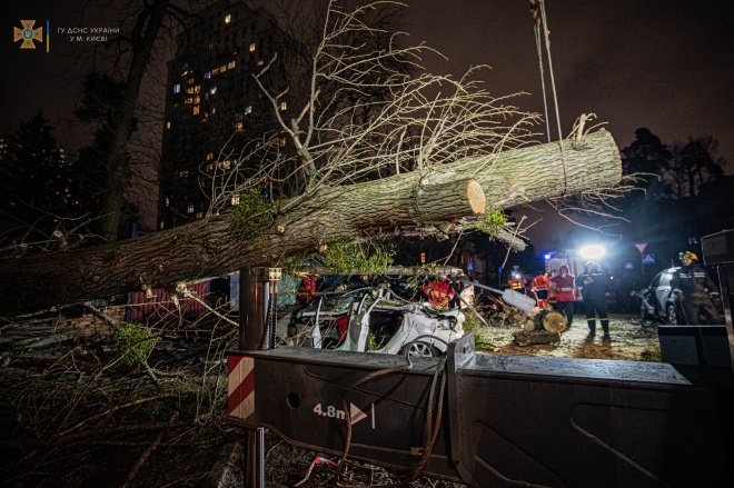 В Києві дерево впало на автівку, загинула людина - фото