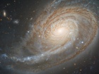Спіральна галактика NGC 772 має надмірно розвинений спіральний рукав
