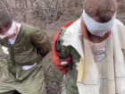 Відео з двома збитими льотчиками на Миколаївщині