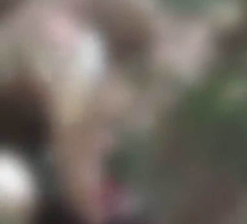 росіяни оприлюднили відео жорстокої страти українського полоненого - фото