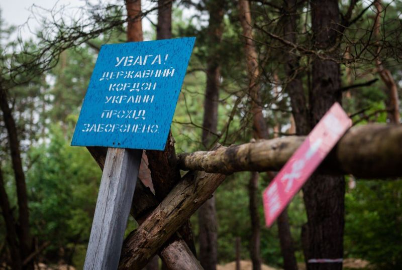 На Чернігівщині припинено спробу проникнення двох ворожих ДРГ - фото