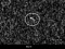 NASA відправить апарат до астероїда Апофіс, коли той наближатиметься до Землі