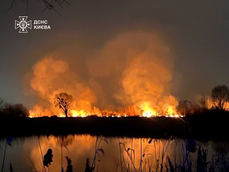 В Києві масштабна пожежа в екопарку "Осокорки" - фото