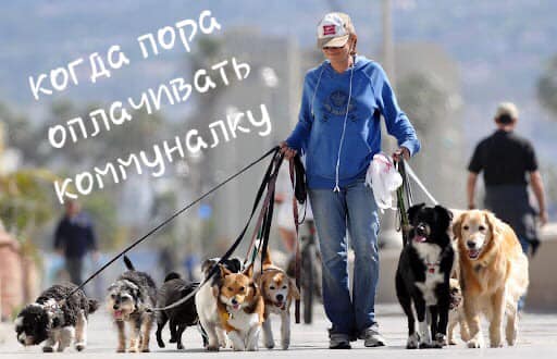 продай собаку - заплати на газ (Евгений Брагарь) фотожаба 25