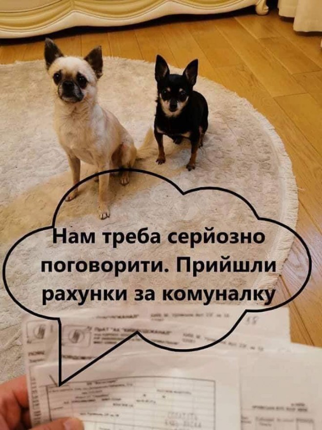 продай собаку - заплати на газ (Евгений Брагарь) фотожаба 10