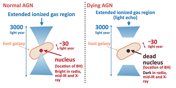 відмінність між звичайним активним галактичним ядром та AGN, що вмирає