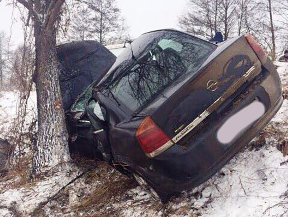 В Винницкой области нацгвардеець погиб, врезавшись на машине в дерево на фото 2