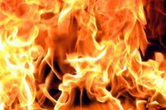 На Житомирщине в пожаре погибли четверо детей - фото